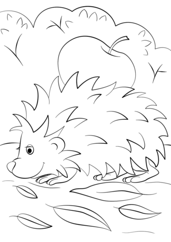 Hedgehog With Apple Coloring Page